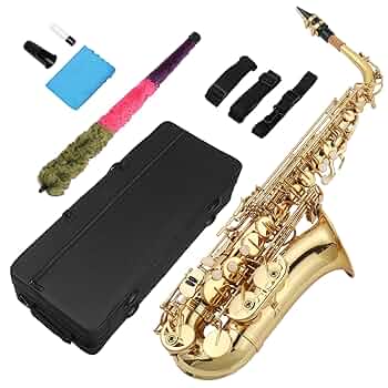 sota sax  71hM+FW8rjL._UF350,350_QL50_.jpg